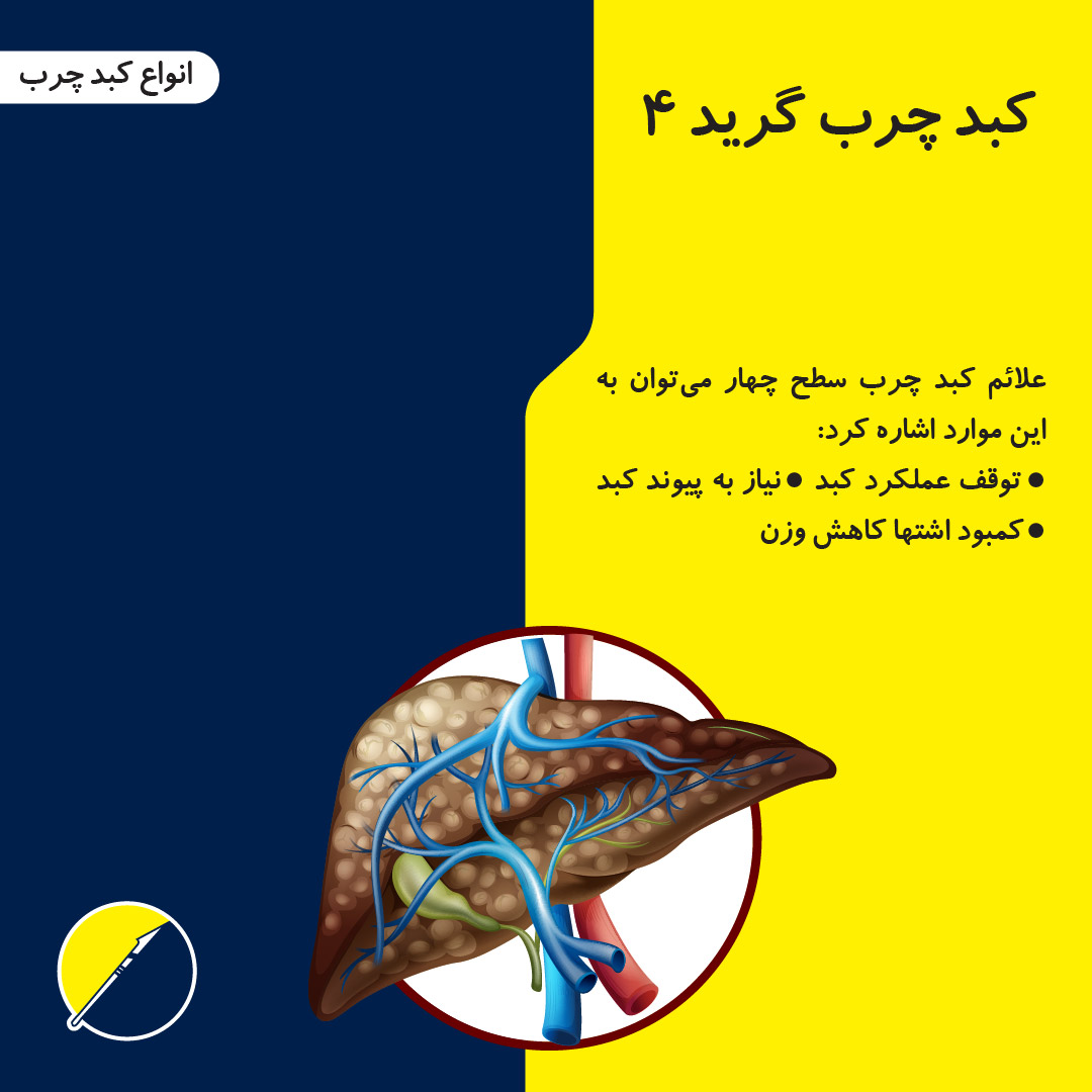 التعريف بأنواع الكبد الدهني